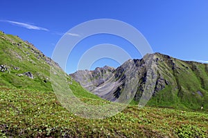 Mountain Summer Scene