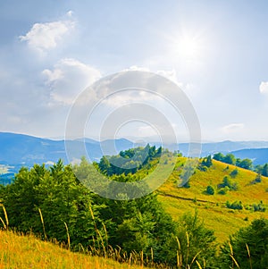 mountain at the summer sunny day