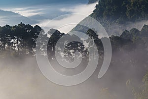 Mountain sunrise landscape with fog in morning