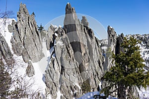 Mountain in Taganay photo