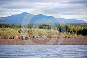 Mountain and taiga at Kolyma river Russia outback