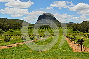 Mountain Tibrogargan in Glass House Mountains region in Queensland, Australia.