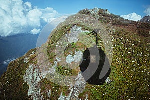 Mountain top covered with grass and flowers with shadow of cable car cabin