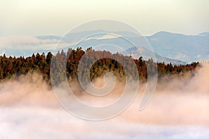 Mountain top with lush trees hidden in clouds. Kremnica Mountains, Slovakia.