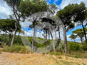 Mountain top and nature view - Aerial view of Jezzine town in South Lebanon