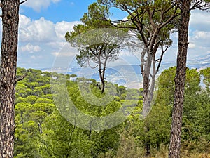 Mountain top and nature view - Aerial view of Jezzine town in South Lebanon