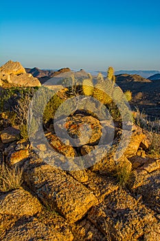 Mojave Desert Mountain Top