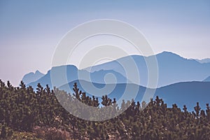 Mountain top panorama in autumn covered in mist or clouds - vin