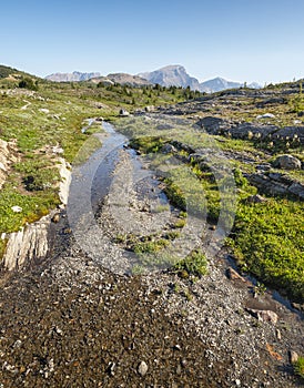 Mountain Top Stream in Sunshine Meadows