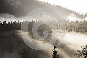 Horské vrcholy na podzim pokryté mlhou nebo mraky měkký vintag