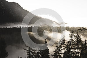 Mountain tops in autumn covered in mist or clouds - soft vintag