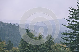 Mountain tops in autumn covered in mist or clouds- vintage effe