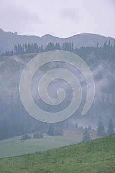 Mountain tops in autumn covered in mist or clouds- vintage effe