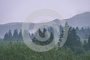 Mountain tops in autumn covered in mist or clouds- vintage effe