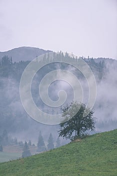 Vrcholy hor na podzim pokryté mlhou nebo mraky vintage effe