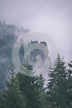 Mountain tops in autumn covered in mist or clouds- vintage effe