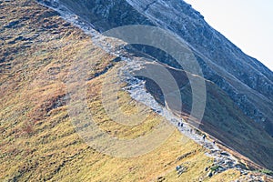 Mountain tops in autumn covered in mist or clouds