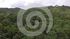 Mountain tops replete with natural grown trees.