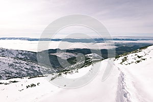 Mountain tops in winter covered in snow - vintage film look