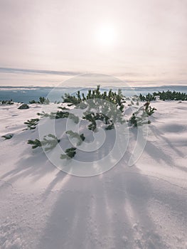 Mountain tops in winter covered in snow - vintage film look