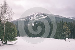 Mountain tops in winter covered in snow - vintage film look