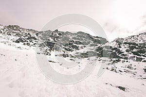 Mountain tops in winter covered in snow - vintage film look