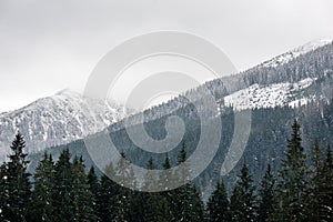 Mountain tops in winter covered in snow