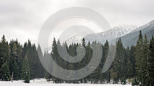 Mountain tops in winter covered in snow