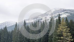 Mountain tops in winter covered in snow