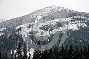 Mountain tops in winter covered in snow