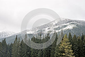 Mountain tops in winter covered in snow