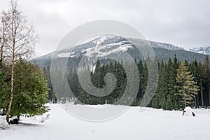 Mountain tops in winter covered in snow