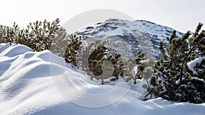 Mountain tops in winter covered in snow