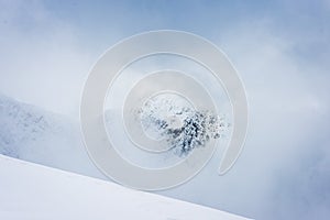 Mountain tops in winter covered in snow