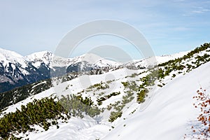 Vrcholy hor v zimě pokryté sněhem