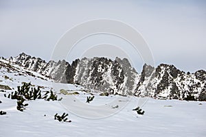 Mountain tops in winter covered in snow