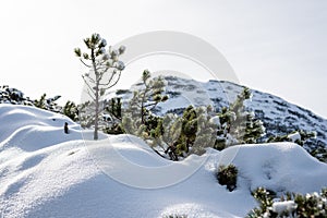 Mountain tops in winter covered in snow