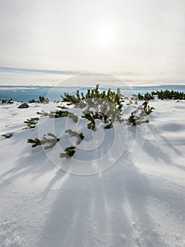 Mountain tops in winter covered in snow