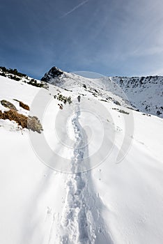 Mountain tops in winter covered in snow