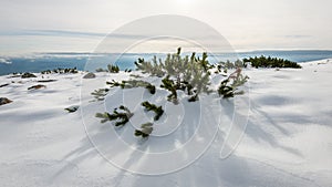 Mountain tops in winter covered in snow