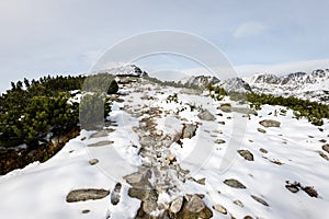 Mountain tops in winter covered in snow