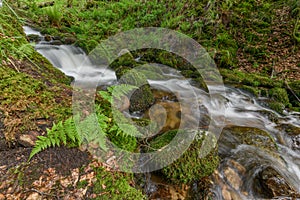 Mountain torrent in the Vosges