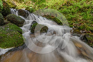 Mountain torrent in the Vosges