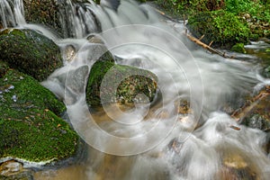 Mountain torrent in the Vosges