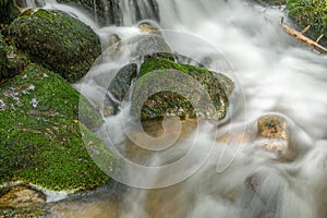 Mountain torrent in the Vosges