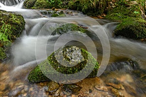 Mountain torrent in the Vosges