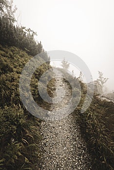 Mountain tourist trail in autumn covered in mist - soft vintage