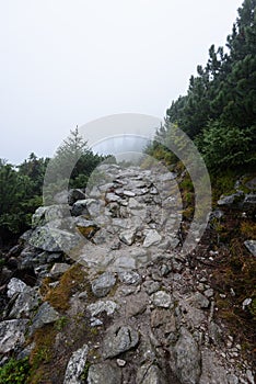 Mountain tourist trail in autumn covered in mist