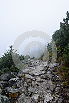 Mountain tourist trail in autumn covered in mist