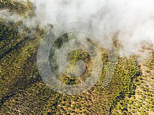 Mountain trail above the clouds on La Palma island. Aerial view